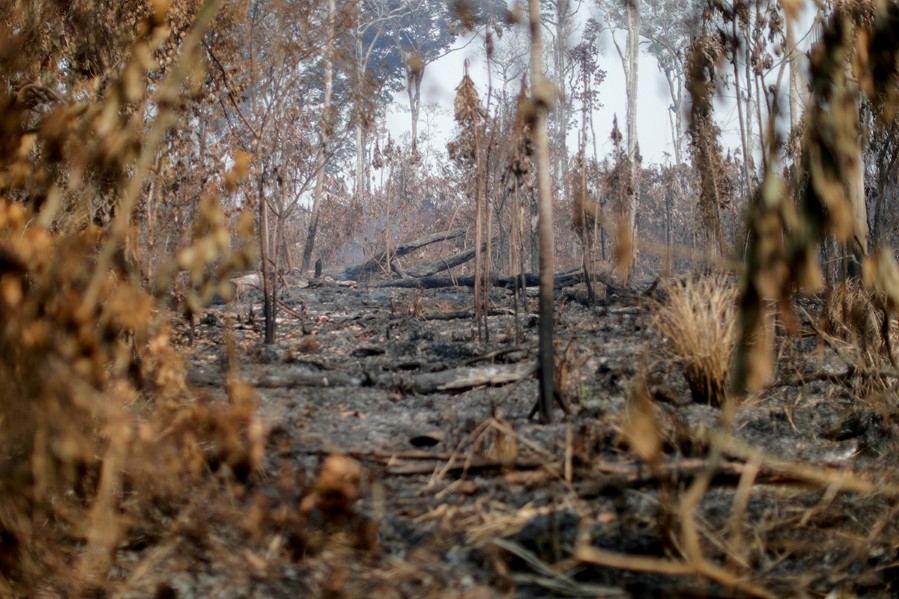 UESLEI MARCELINO / Reuters / NTB 